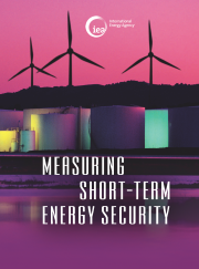 CEU PhD student produces energy security assessment for the International Energy Agency